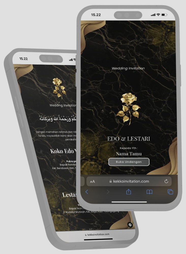 mock up demo ive